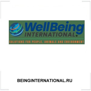 BEINGINTERNATIONAL.RU BEINGINTERNATIONAL.RU