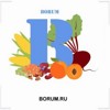 BORUM.RU