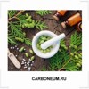 CARBONEUM.RU