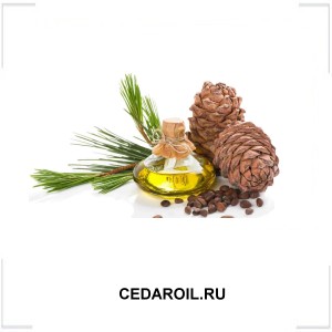 CEDAROIL.RU CEDAROIL.RU