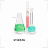 NTNET.RU