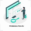 PROMANALITIKA.RU
