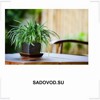 SADOVOD.SU